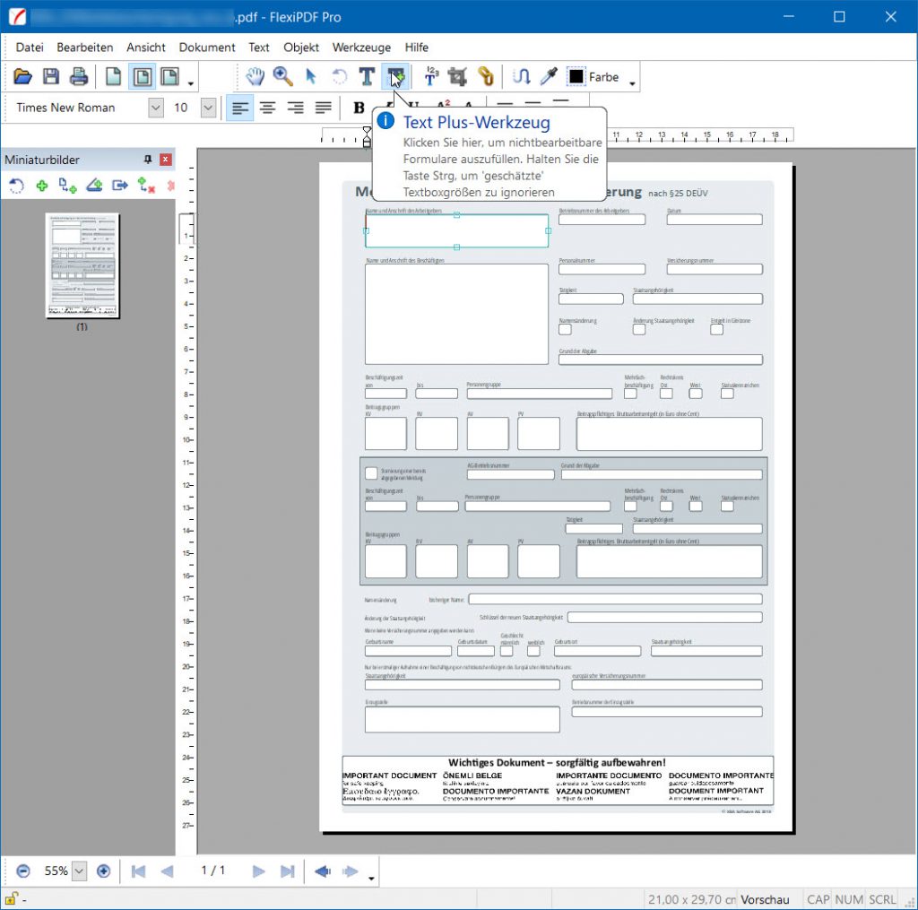 Screenshot FlexiPDF mit XBA SV-Vordruck